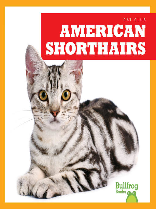 Title details for American Shorthairs by Cameron L. Woodson - Available